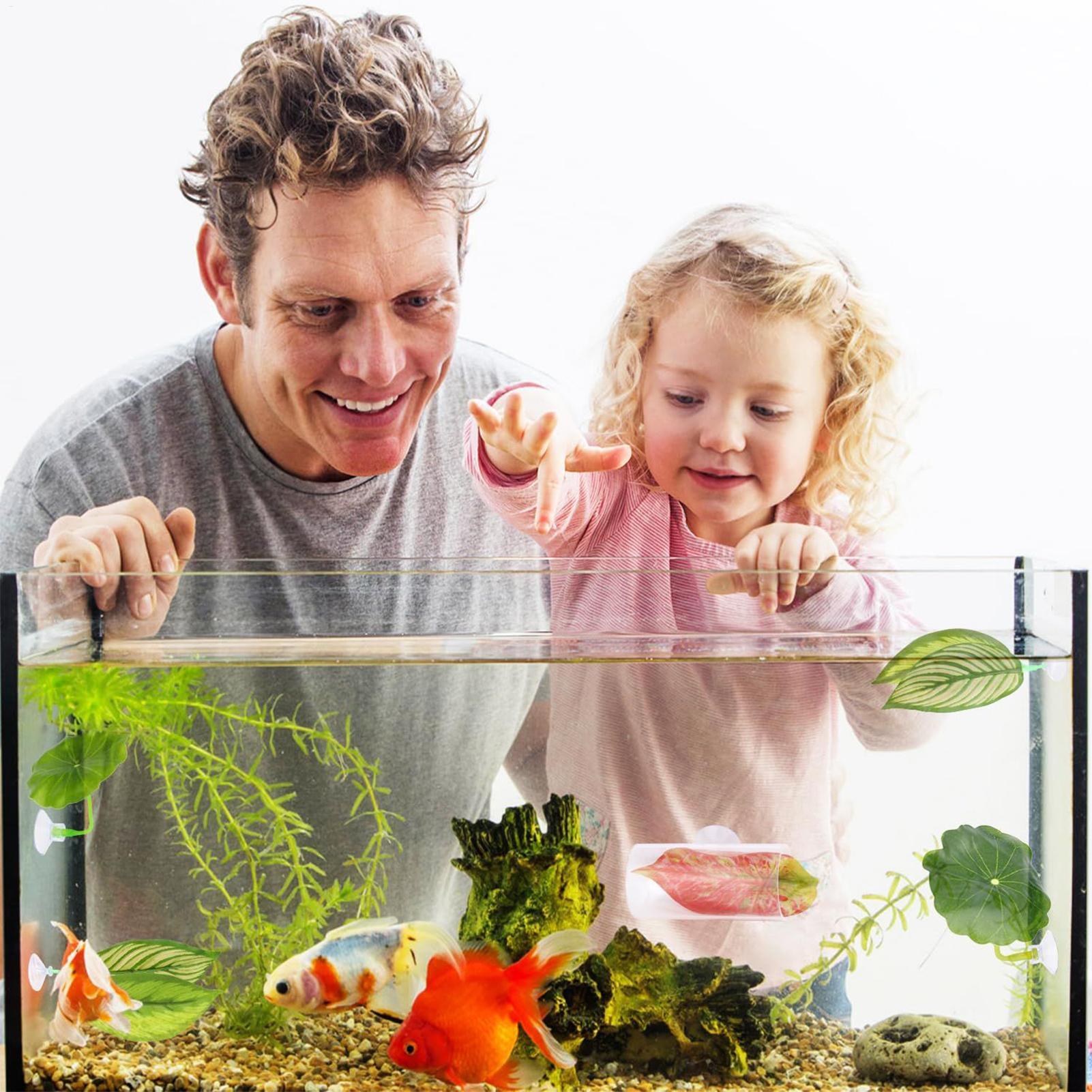 Aquarium Fish Betta - Betta Hammock For Aquarium 5 Pieces