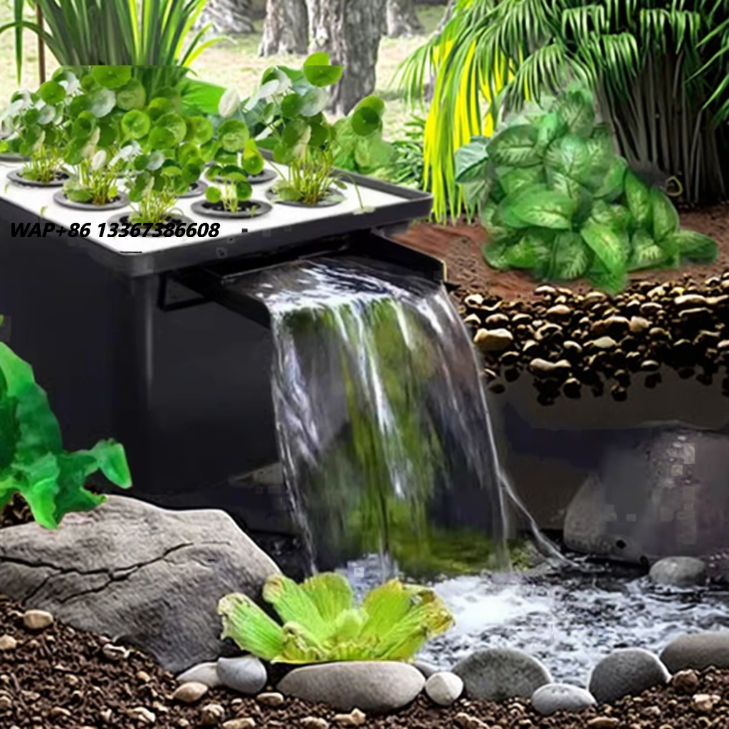 Aquarium Fish In Pond - Factory Direct Outdoor Garden Fish Pond