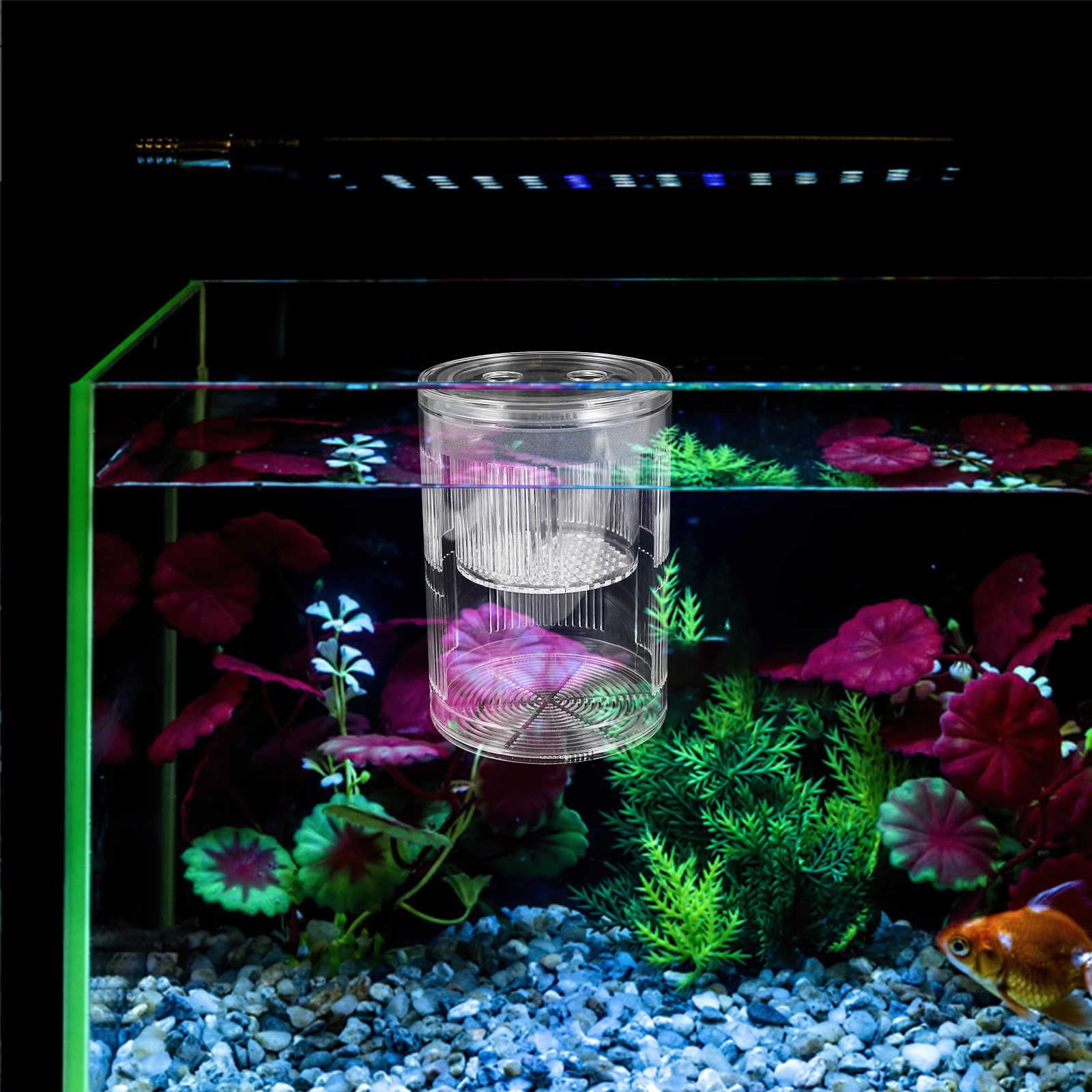Aquarium Fish Betta - Floating Acrylic Fish Breeding Box Aquarium