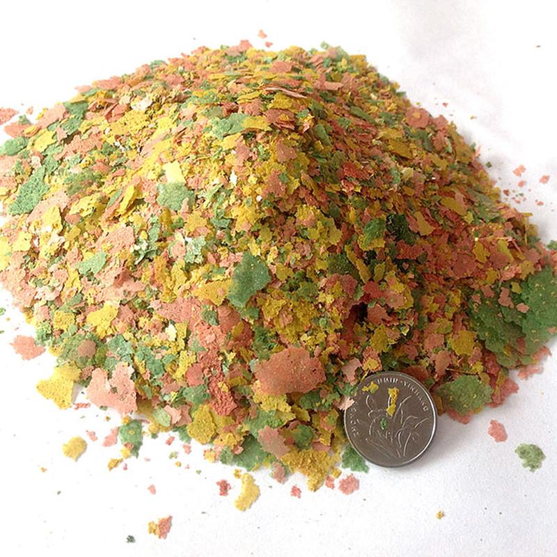 Aquarium Fish Rainbow - Ornamental Fish Thin Slice Food Tropical