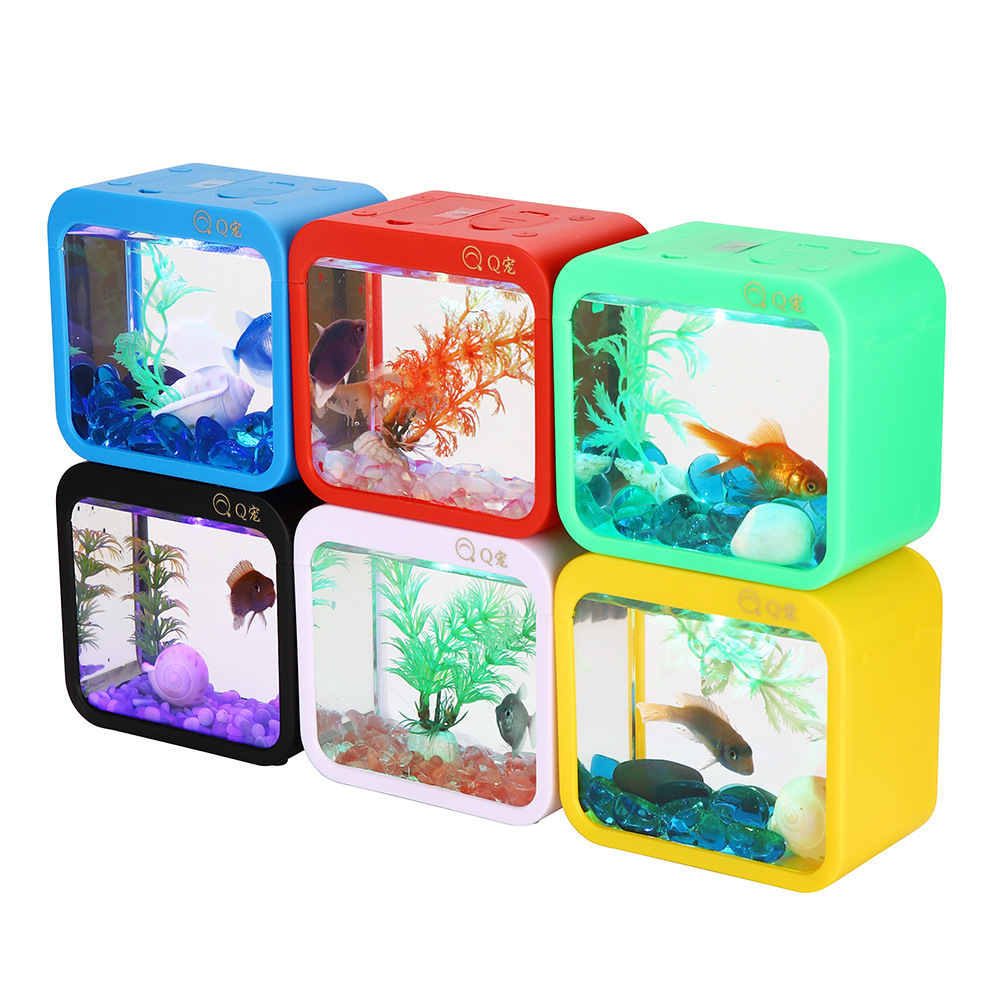 Colorful Creative Betta Box Wi - Aquarium Fish Betta review and price