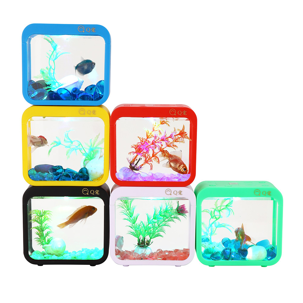 Colorful Creative Betta Box Wi - Aquarium Fish Betta review and price