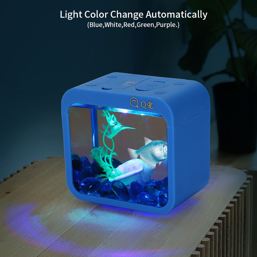 Colorful Creative Betta Box Wi - Aquarium Fish Betta review and price