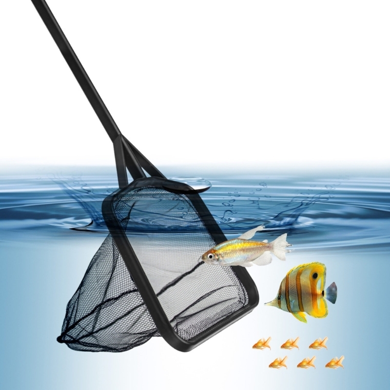 Multiple Length Handle Fishing - Aquarium Fishland review and price