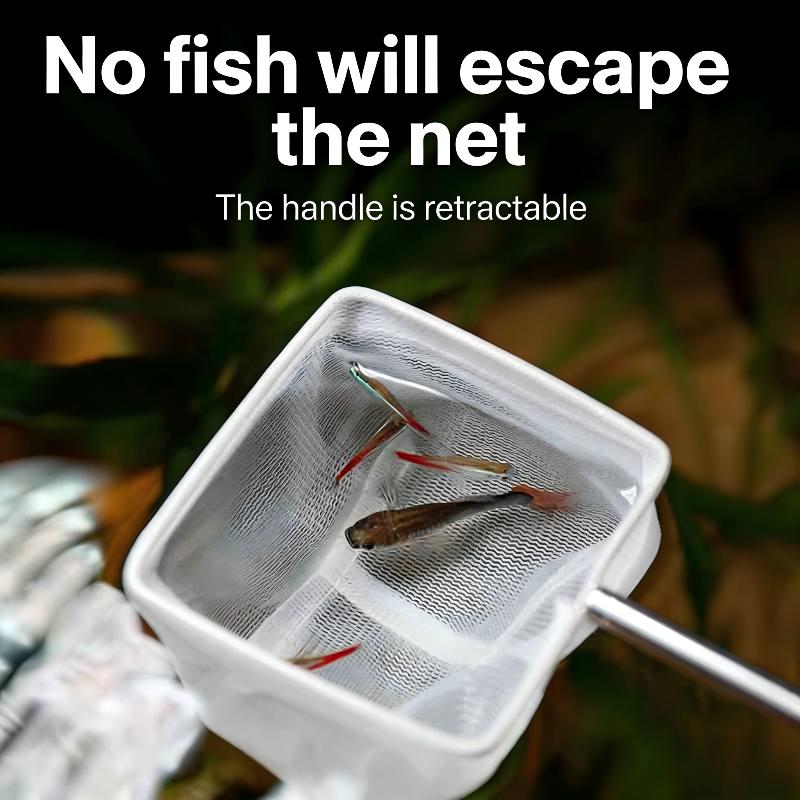 For Catchin Fish Shrimp Tank A - Aquarium Fishland review and price