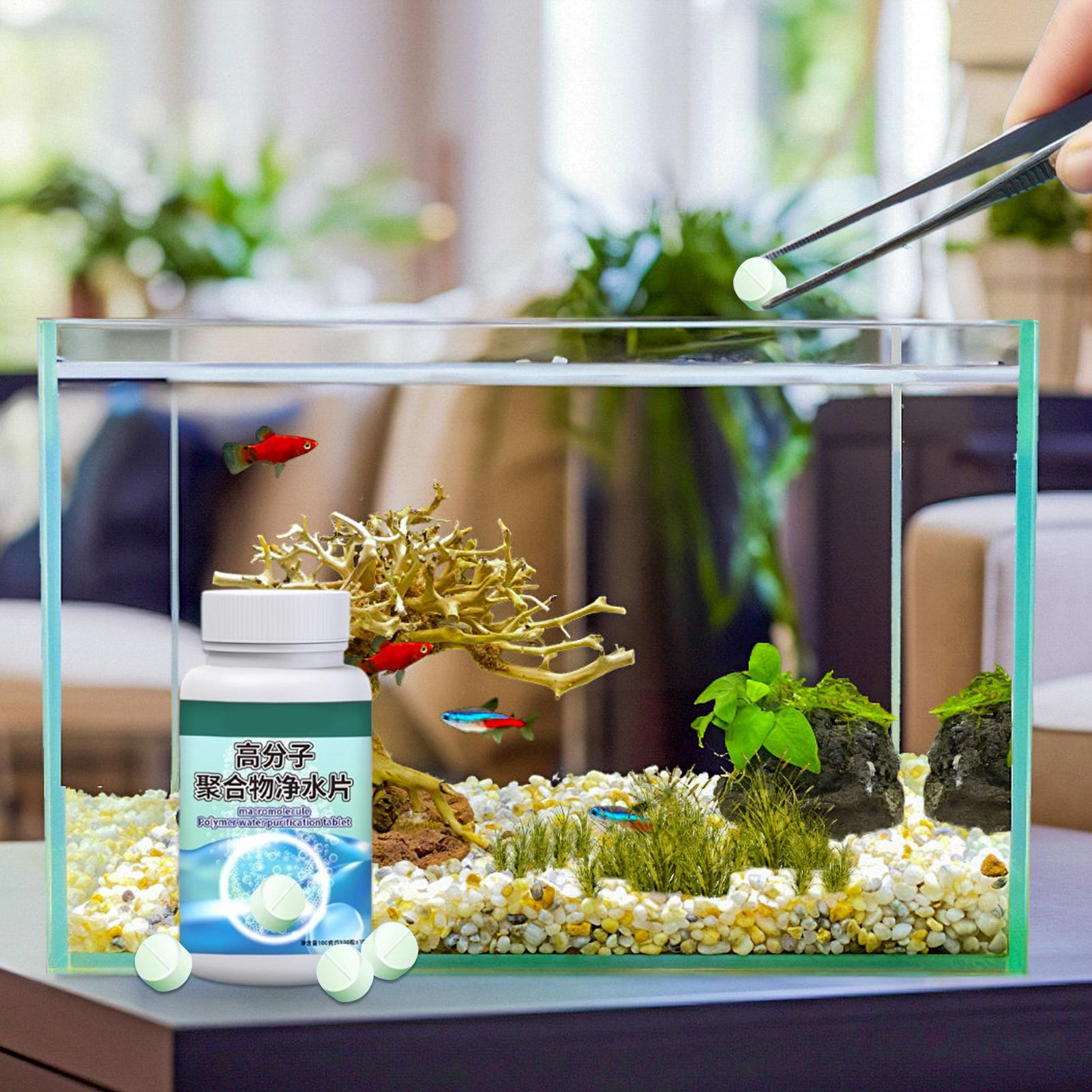 Fish Can Algae Remover Aquariu - Aquarium Fish Betta review and price
