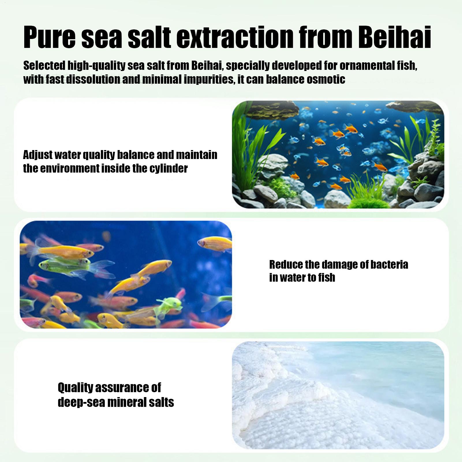 Fish Can Algae Remover Aquariu - Aquarium Fish Betta review and price