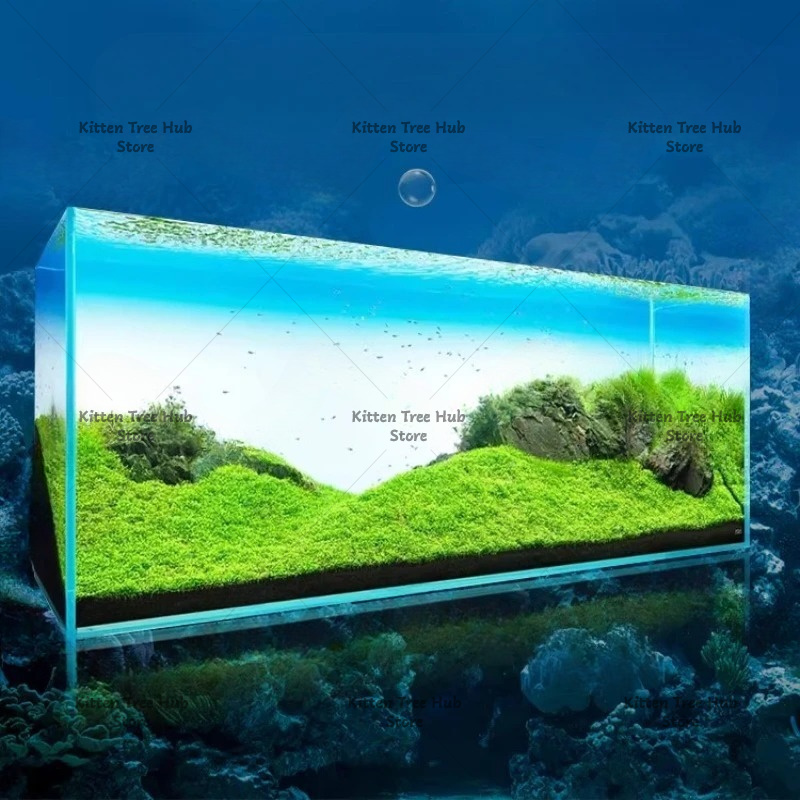 Fish Tank Background Board LED - Aquarium Fish Rainbow review and price