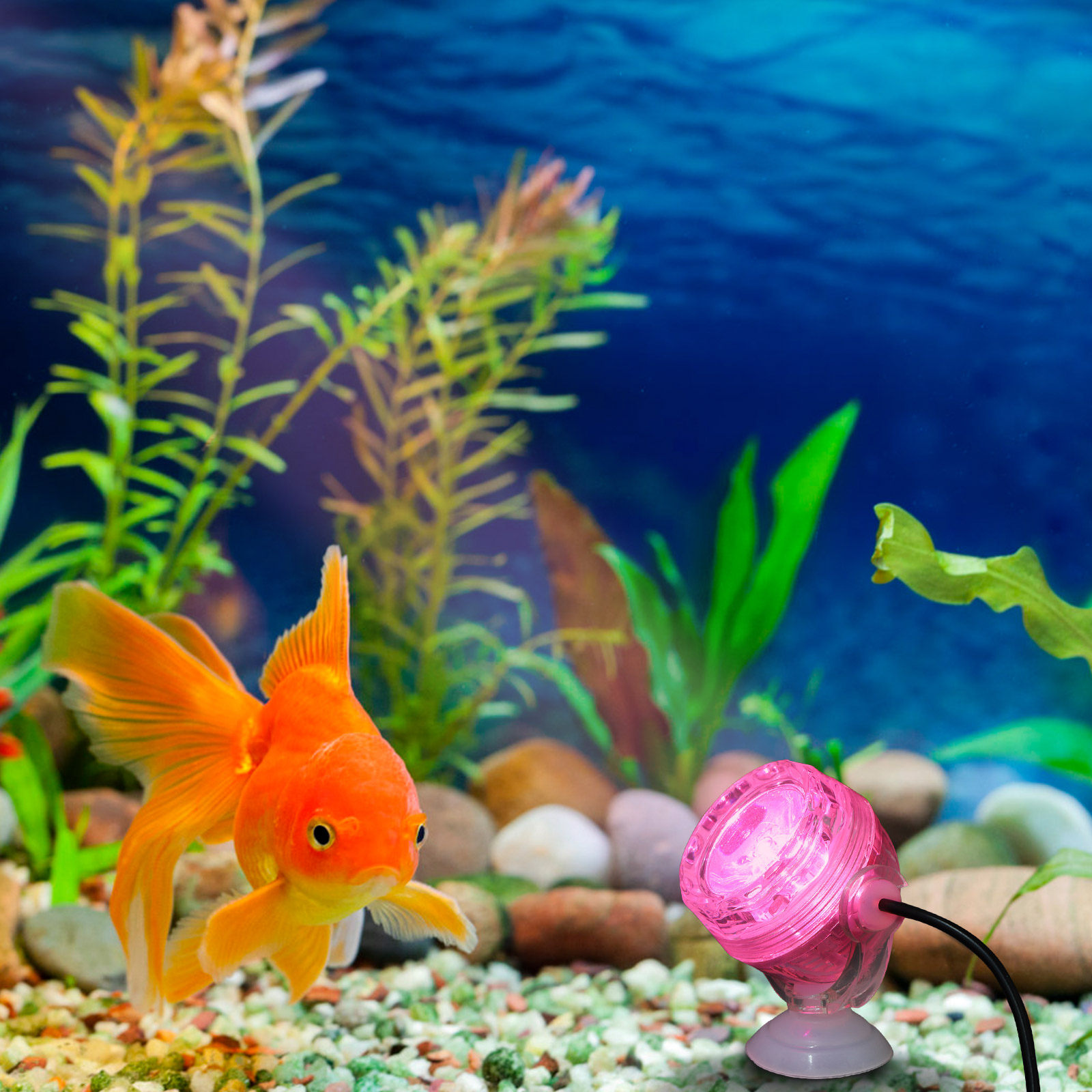 Small LED Aquarium Light Water - Aquarium Fish Rainbow review and price