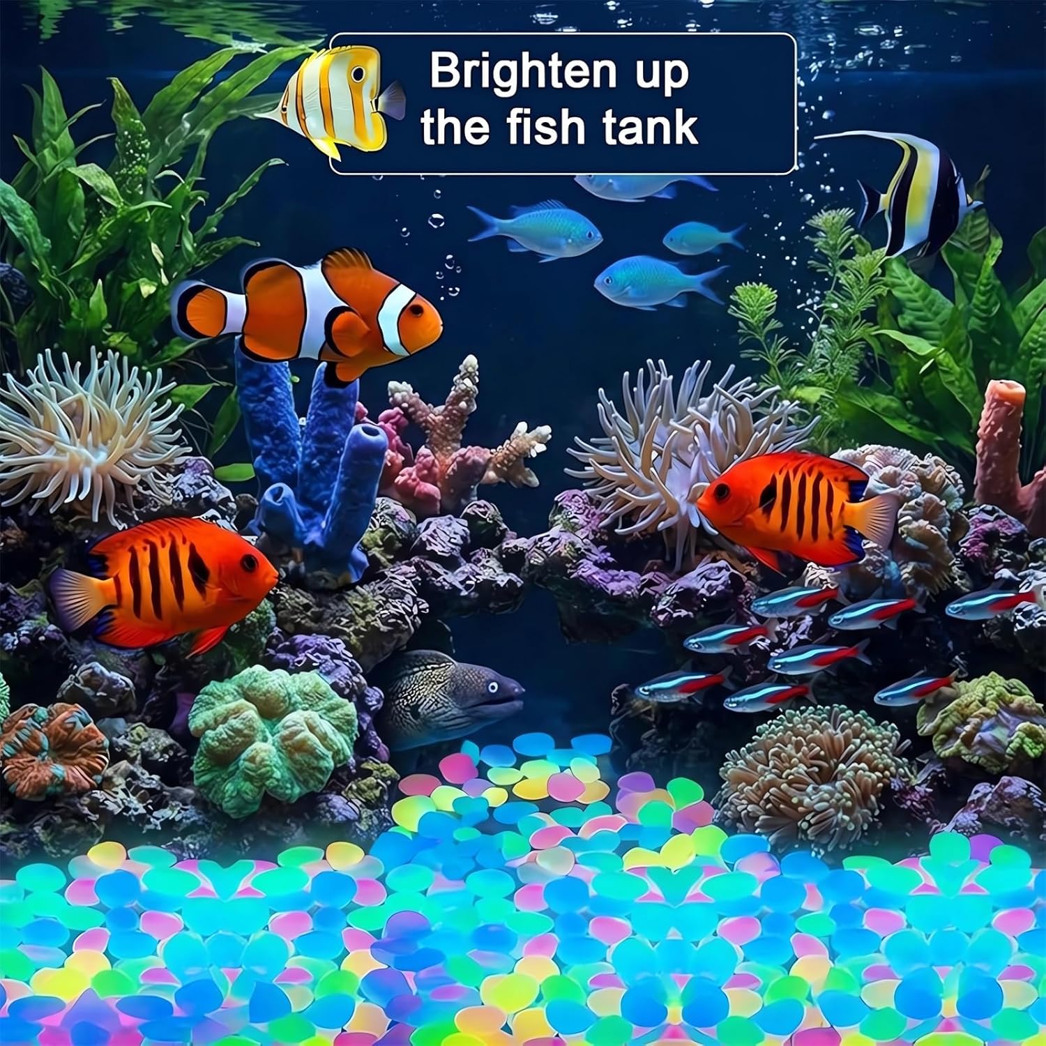 2026 Colored Night Glow Pebble - Aquarium Fish Rainbow review and price