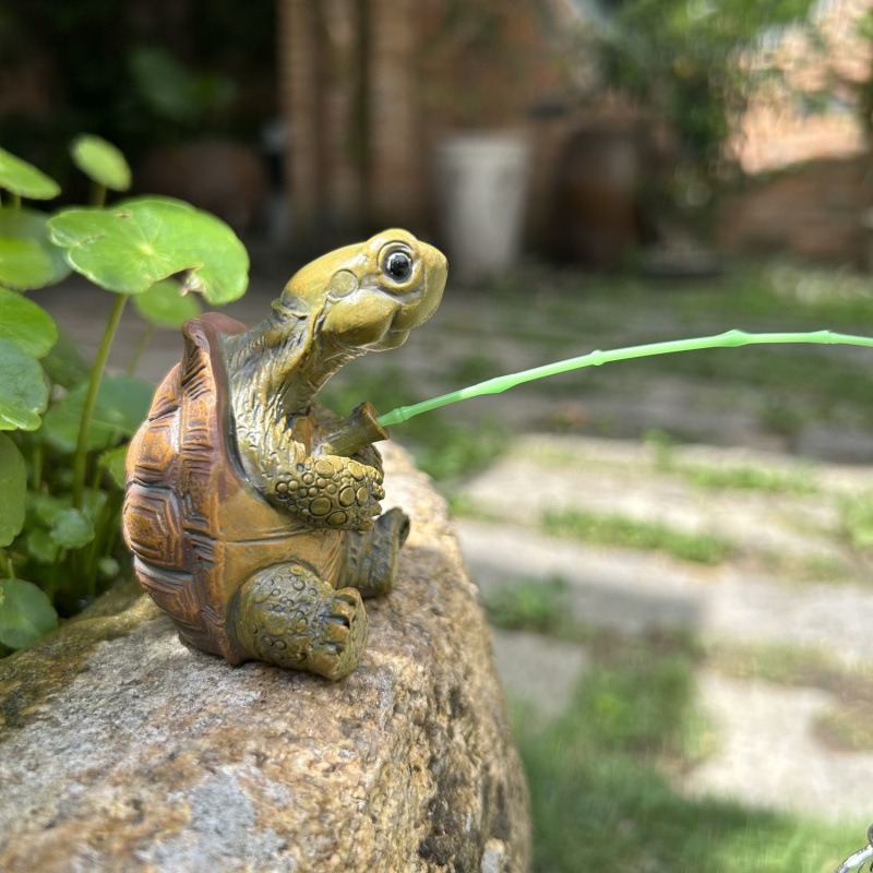 Turtle fishing fish tank aquar - Aquarium Fish In Pond review and price