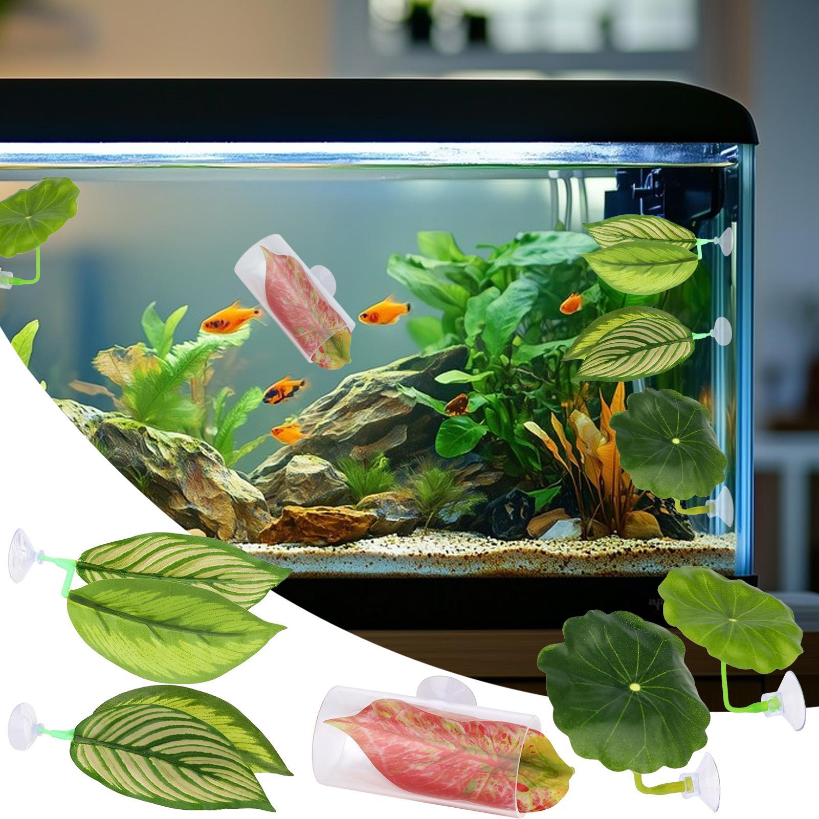 Betta Hammock For Aquarium 5 P - Aquarium Fish Betta review and price