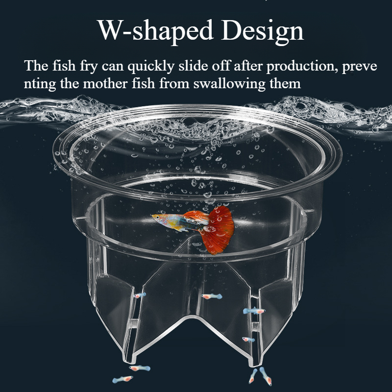 Floating Fish Breeding Isolati - Aquarium Fish Betta review and price
