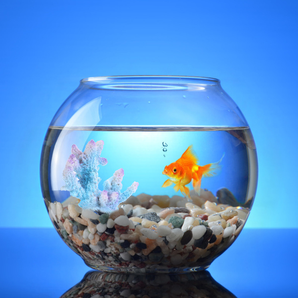 Creative Resin Aquarium Coral  - Aquarium Xl review and price