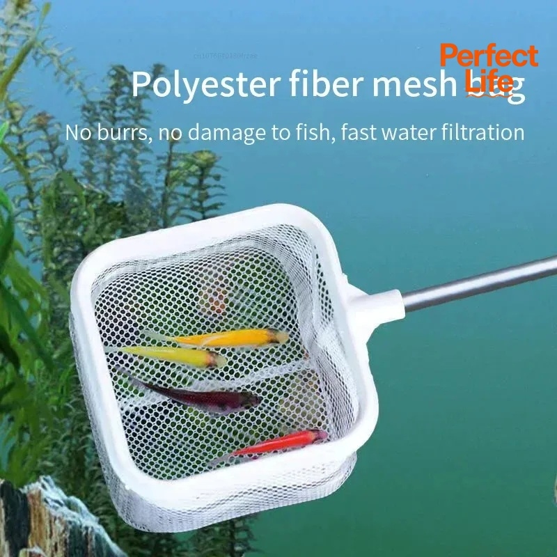 1、2Pcs Stainless Steel Fishing - Aquarium Fishland review and price