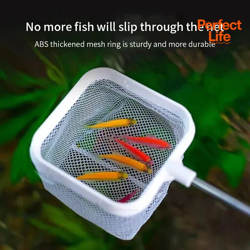 1、2Pcs Stainless Steel Fishing - Aquarium Fishland review and price