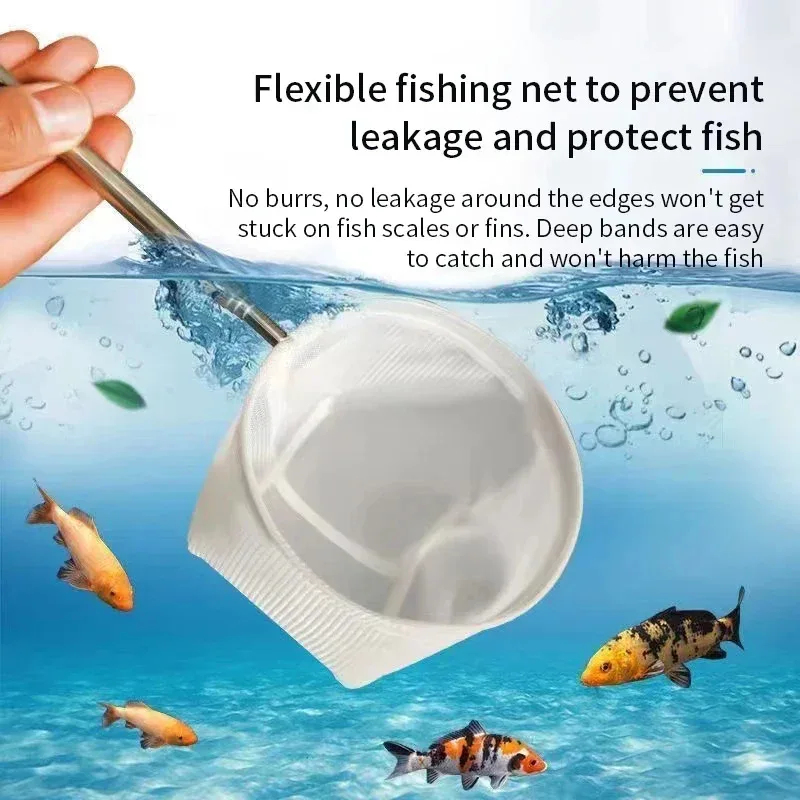 1、2Pcs Stainless Steel Fishing - Aquarium Fishland review and price