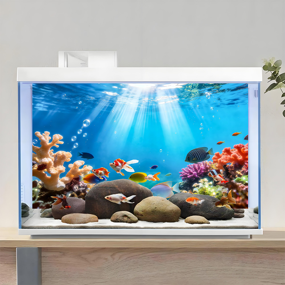 Rainbow-colored corals , fish  - Aquarium Fish Rainbow review and price