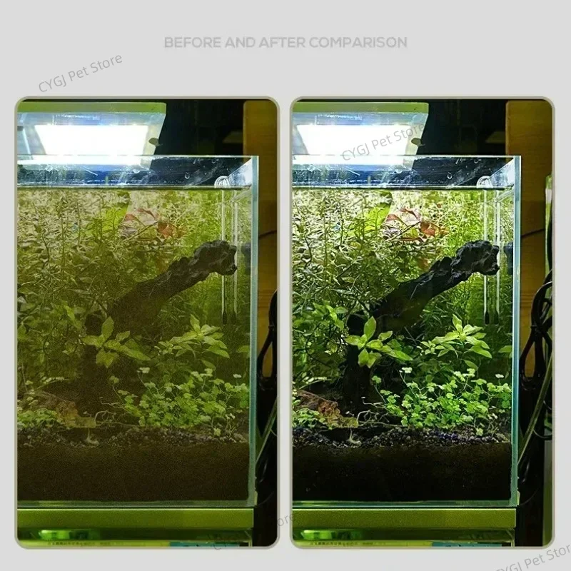 Fish Tank Cleaning Tool Flat S - Cleaner Fish Aquarium review and price