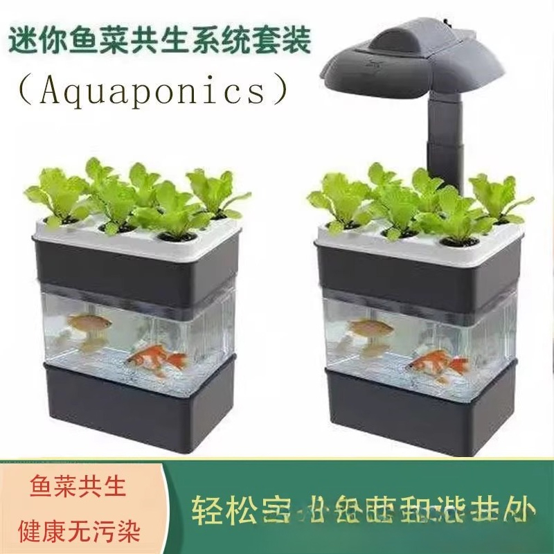 Export fish tank aquarium smal - Aquarium Fish Exporter review and price