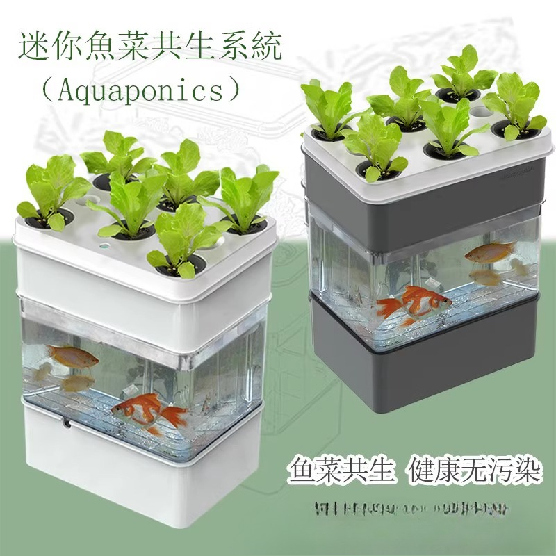 Export fish tank aquarium smal - Aquarium Fish Exporter review and price