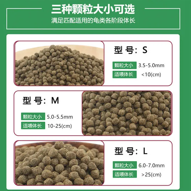 wholesale export high-quality  - Aquarium Fish Exporter review and price