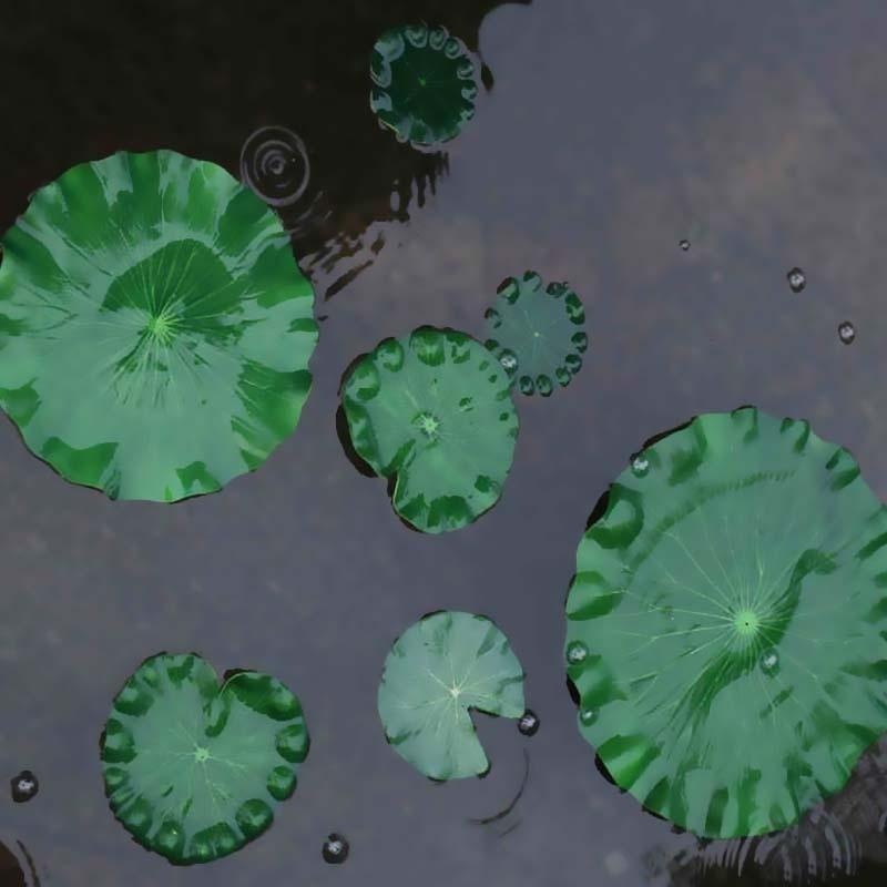 2026 Artificial Water Lily Lot - Aquarium Fish In Pond review and price