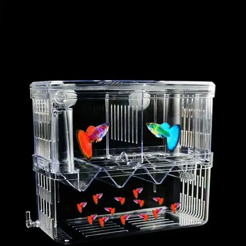 Fish Breeding Isolation Box S/ - Aquarium Xl review and price