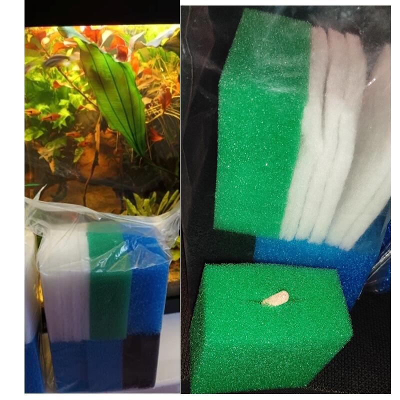 Pack of 60 Compatible Poly Pad - Cleaner Fish Aquarium review and price