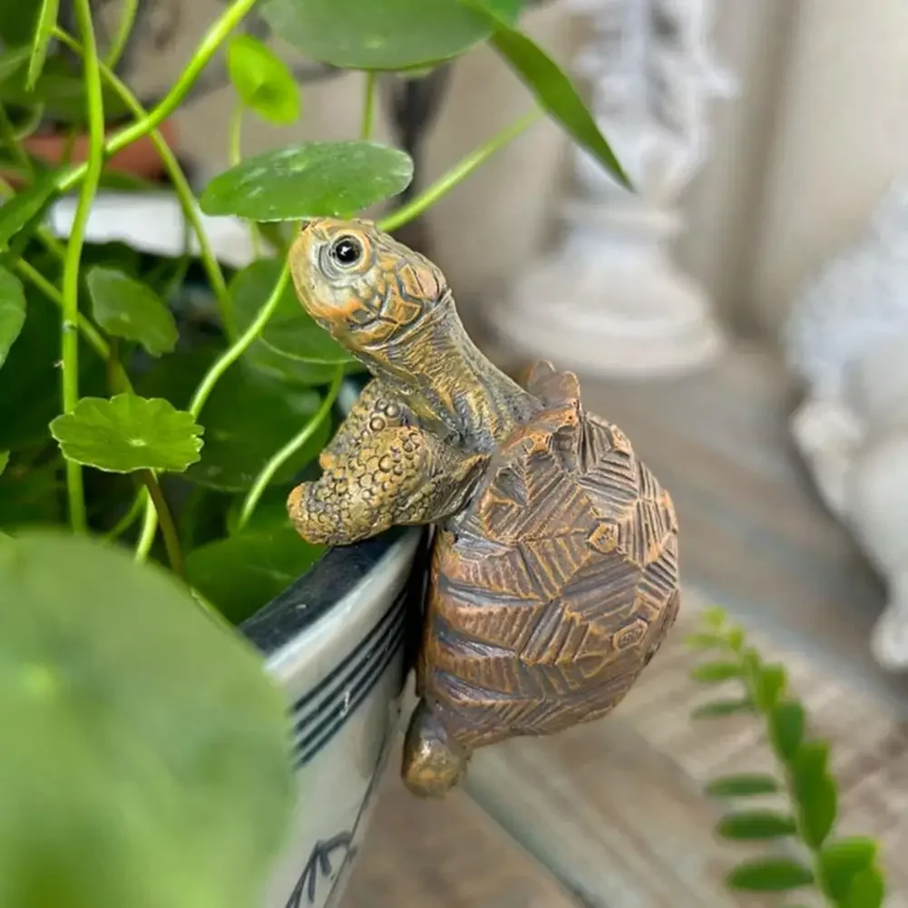 Fishing Turtle Hanging Turtle  - Aquarium Fish In Pond review and price