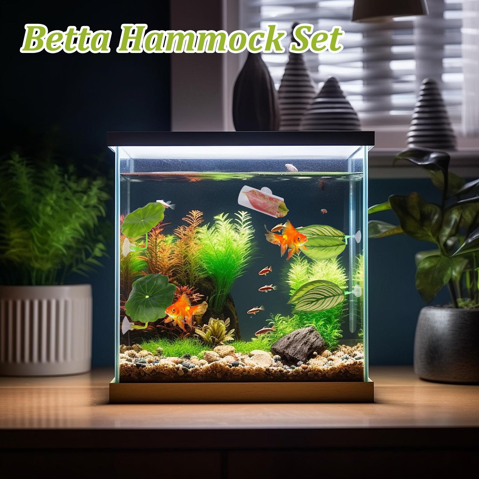 Betta Fish Hammock 5 Pieces Ad - Aquarium Fish Betta review and price