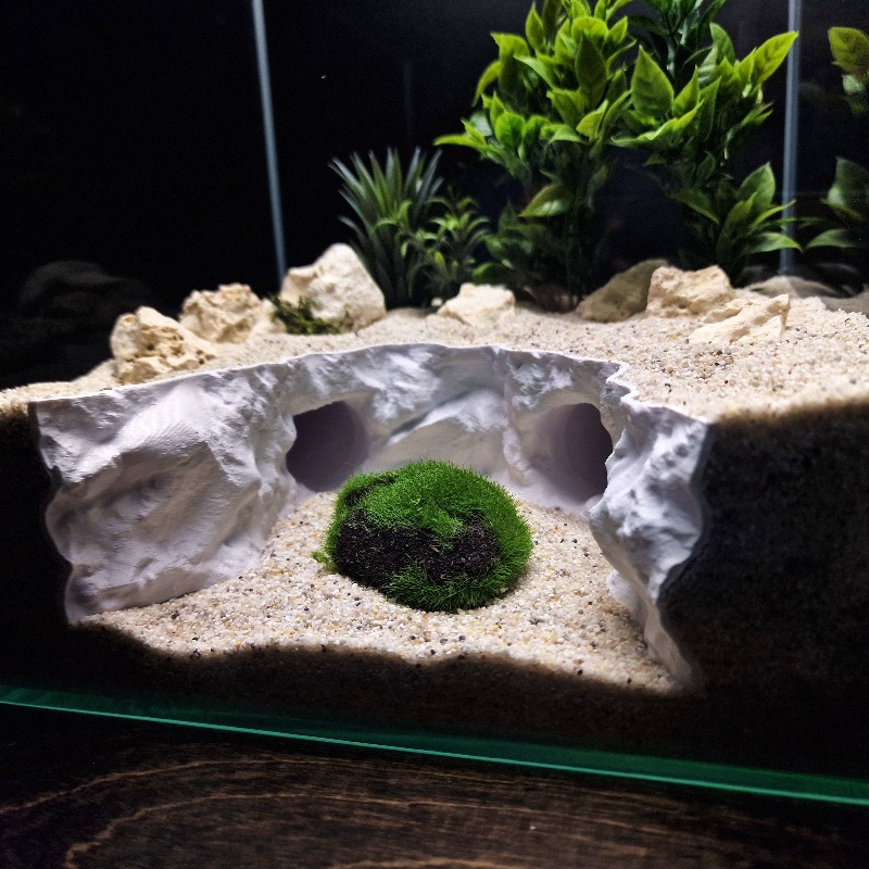 2-in-1 Water & Land Hiding Cav - Aquarium Fishland review and price