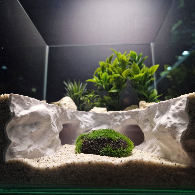 2-in-1 Water & Land Hiding Cav - Aquarium Fishland review and price