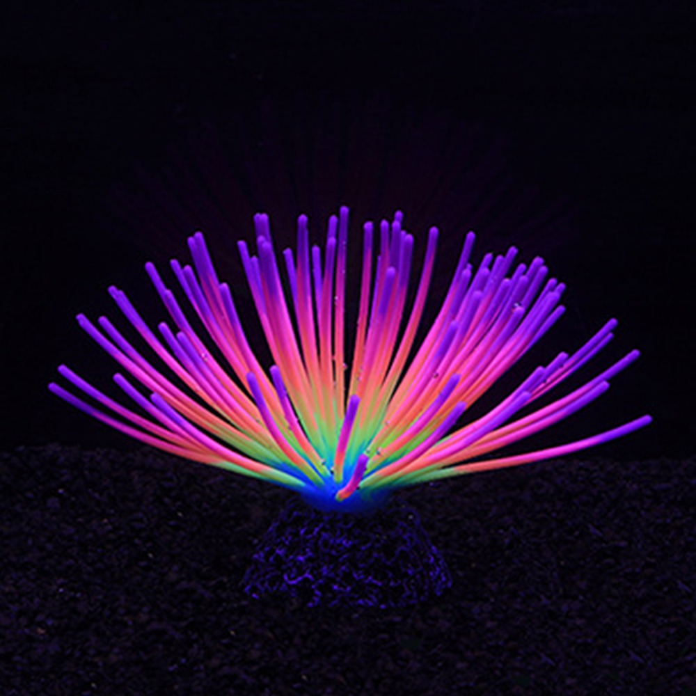 Colorful Aquarium Silicone Cor - Aquarium Fish Rainbow review and price