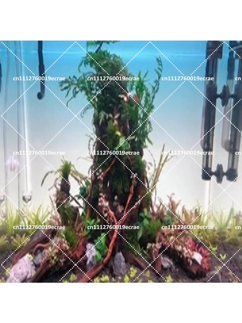 Aquarium Background Board LED  - Aquarium Fish Rainbow review and price