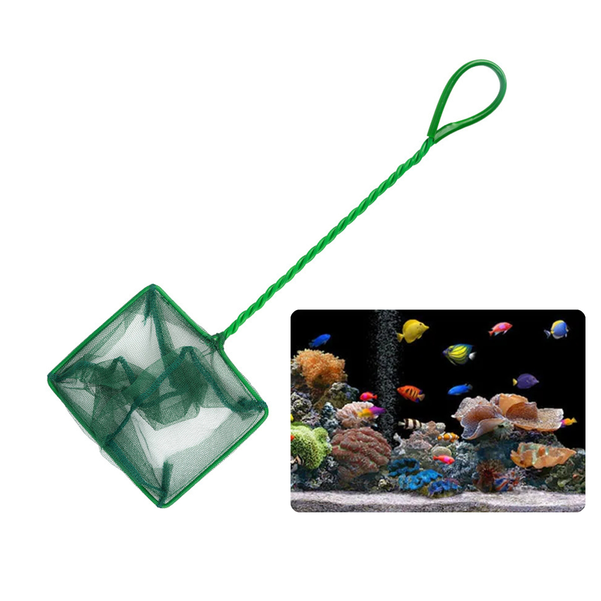 3~10 Inch Portable Nylon Green - Cleaner Fish Aquarium review and price