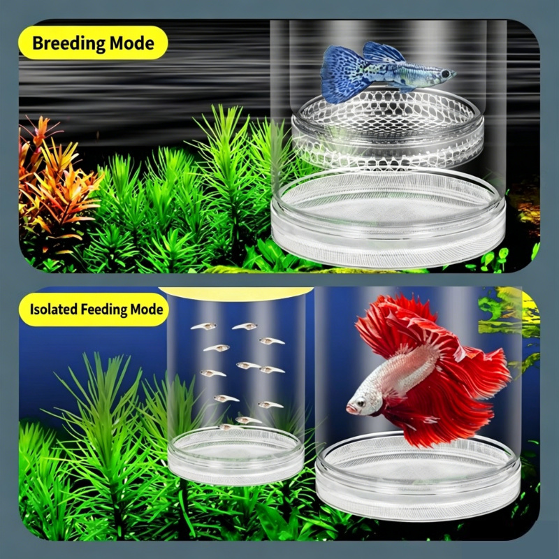 Transparent Floating Aquarium  - Aquarium Fish Betta review and price