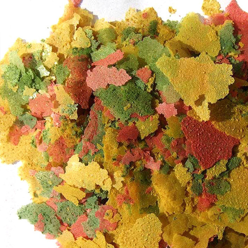 Ornamental Fish Thin Slice Foo - Aquarium Fish Rainbow review and price