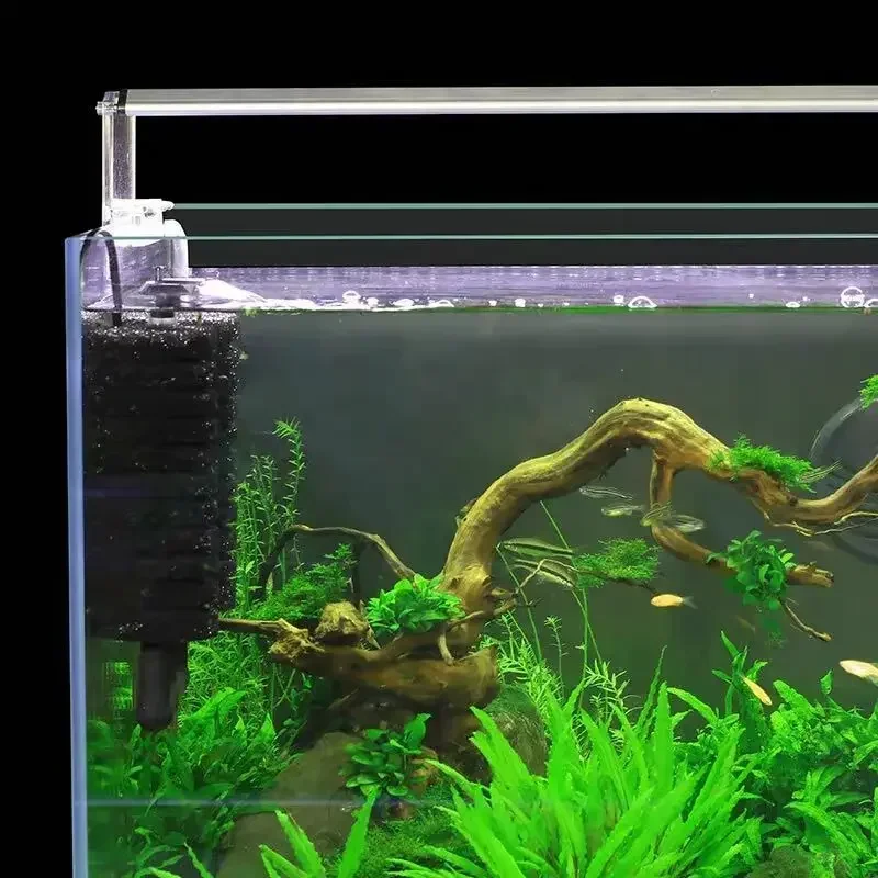 3-IN-1 Clip on Electric Power  - Aquarium Fish Ball review and price
